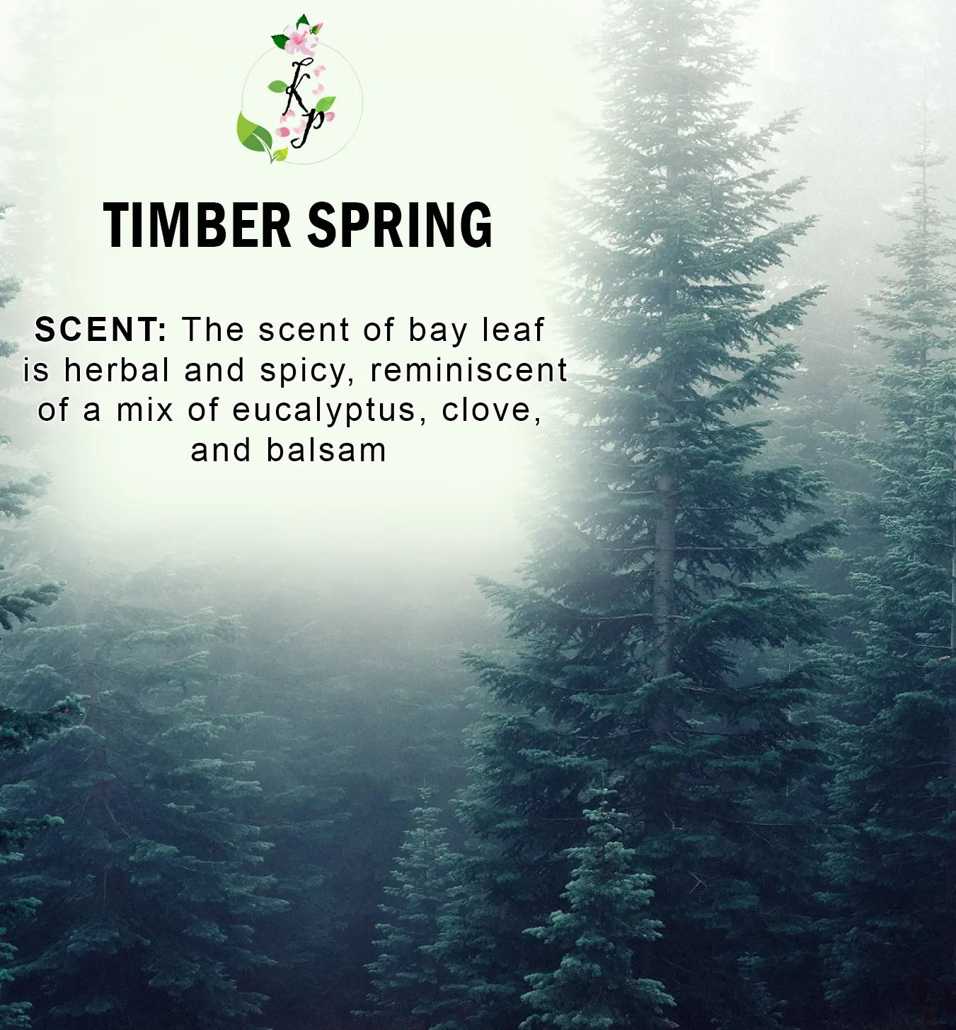 Timber Spring Body Lotion | Organic Body Cream | Shea Butter Lotion | Scented Lotion | Almond Body Lotion Kay Pedals