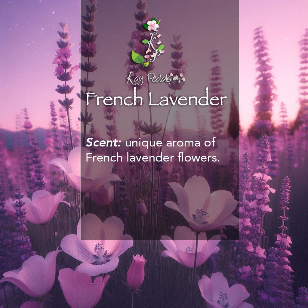 French Lavender Body Lotion | Organic Body Cream |Shea Butter Lotion | Almond Body Lotion | Fragrance Lotion