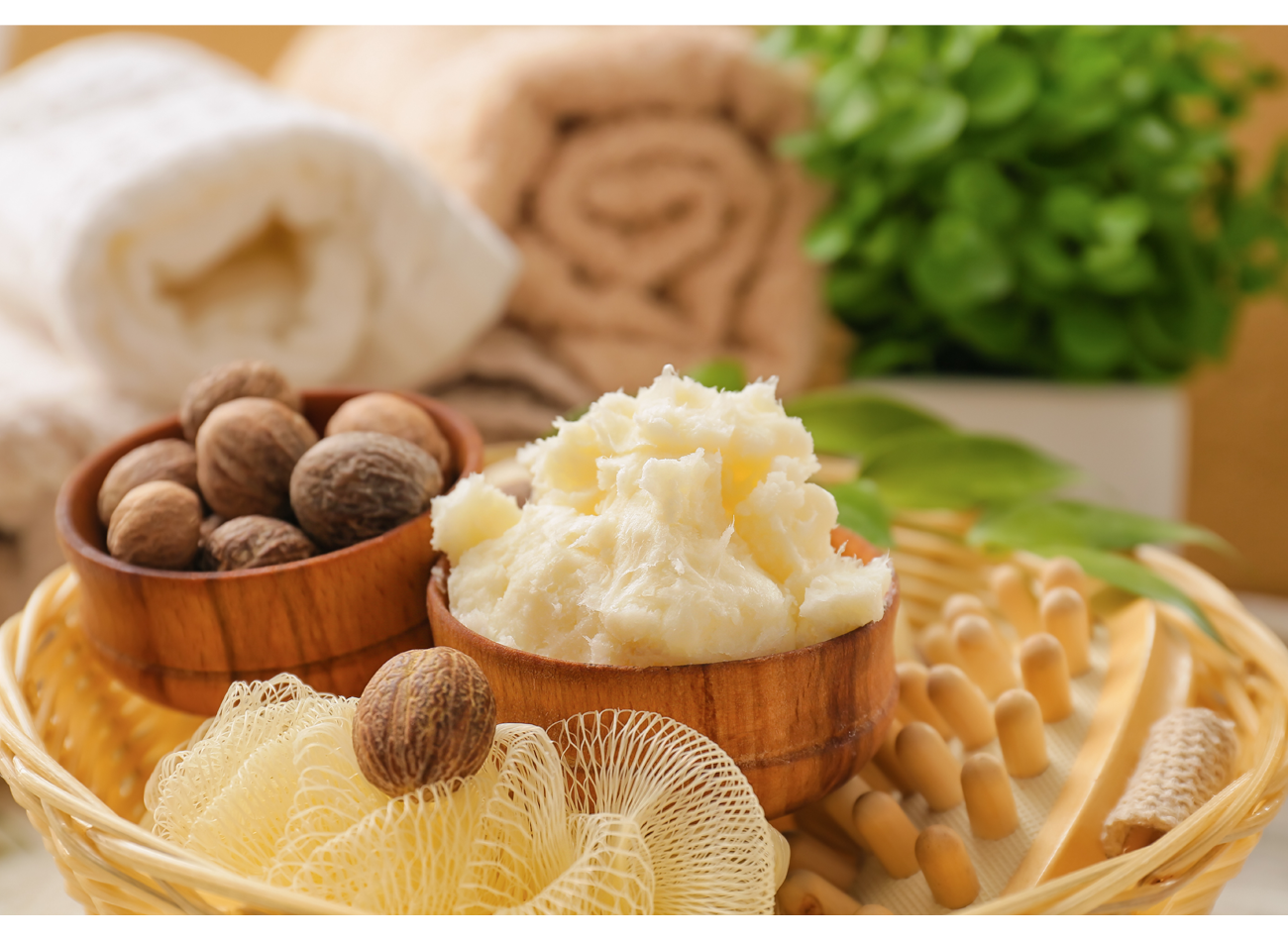 Harnessing Nature's Power: The Top 5 Shea Butter Benefits for Healthy, Radiant Skin