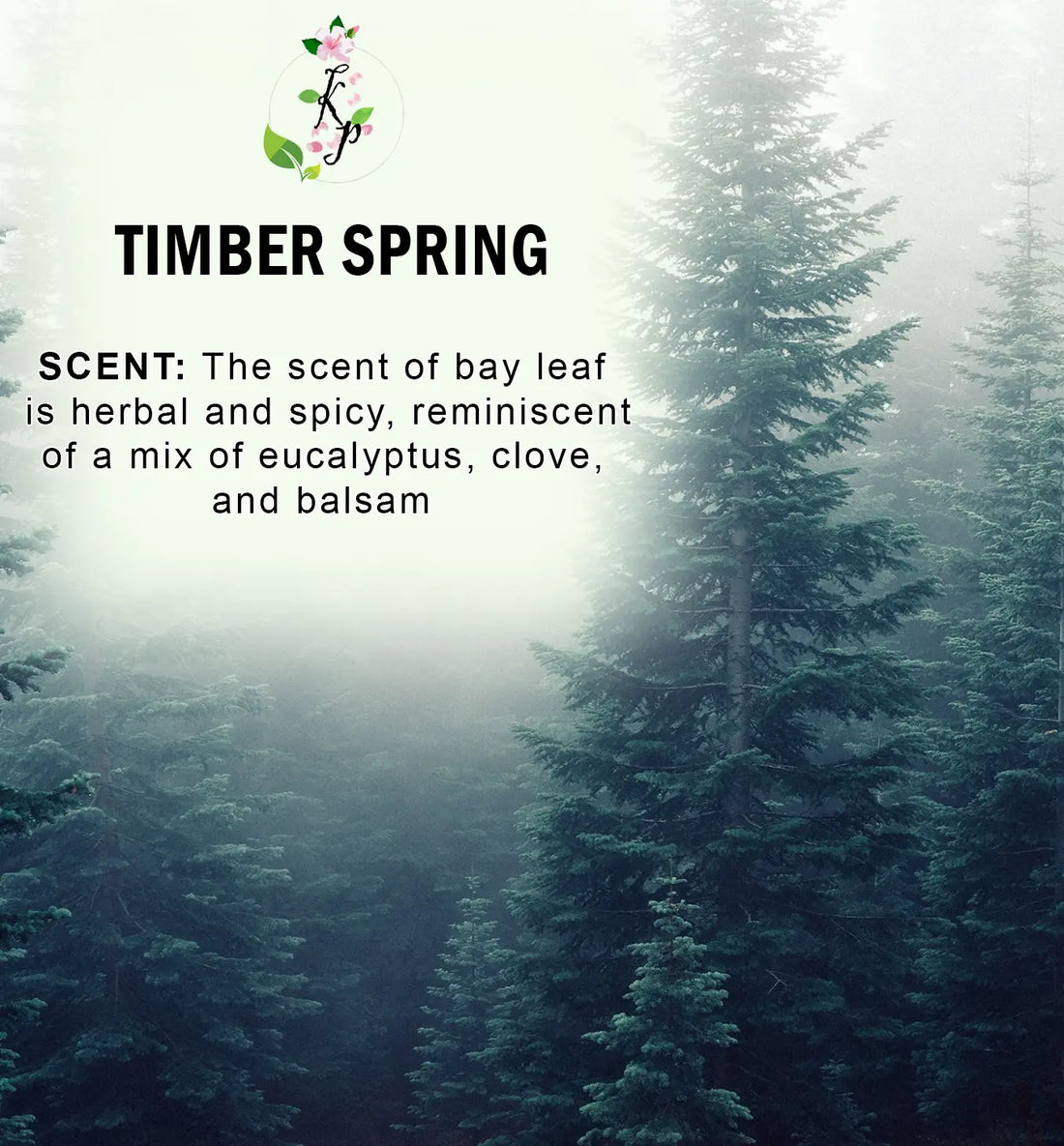 Timber Spring Body Lotion | Organic Body Cream | Shea Butter Lotion | Scented Lotion | Almond Body Lotion Kay Pedals