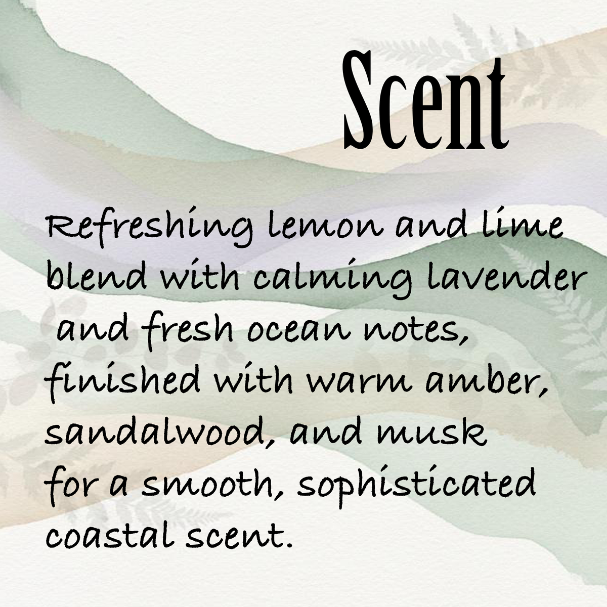 Coast Of Italy Natural Organic Body Lotion