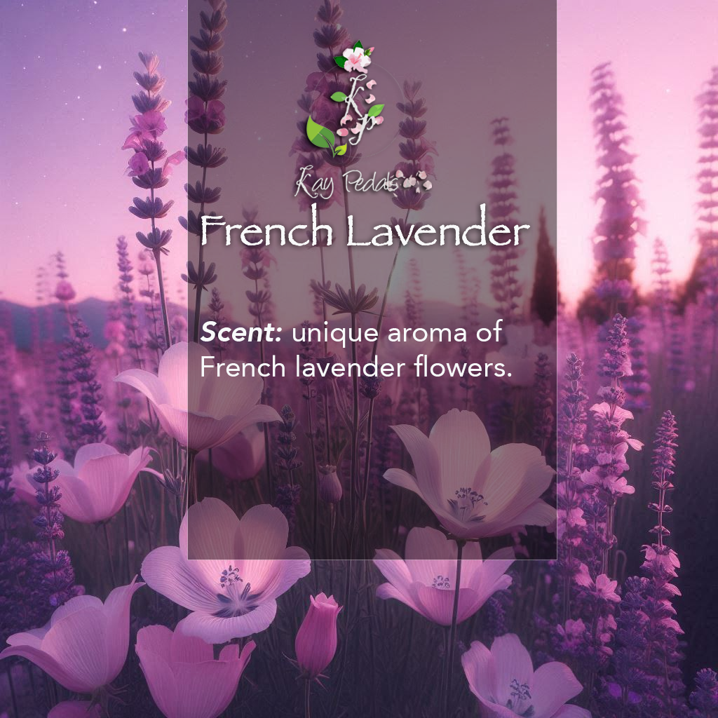 French Lavender Body Lotion | Organic Body Cream |Shea Butter Lotion |  Almond Body Lotion | Fragrance Lotion