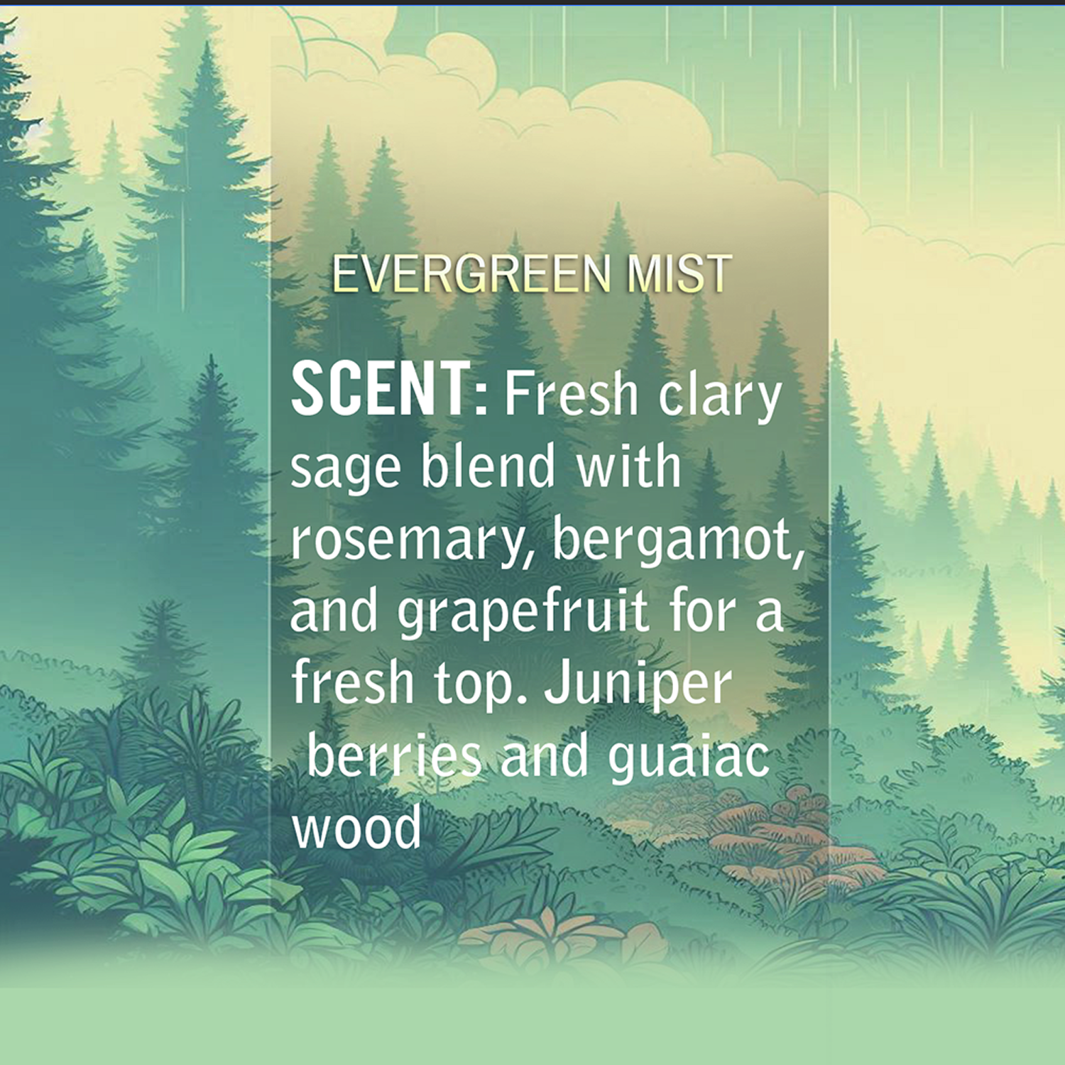 Evergreen Mist Natural Body Lotion Made With Sensitive Skin Fragrance Oil  | Organic Unrefined African Shea Butter | Organic Sweet Almond Oil | Organic Avocado Oil